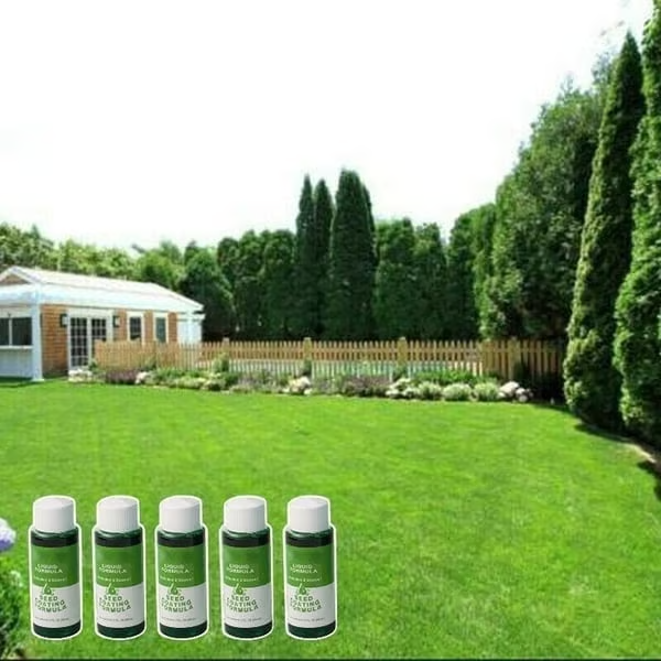🌱🔥Last Day 73% OFF🌱Hydro Seeding Lawn Solution🌱