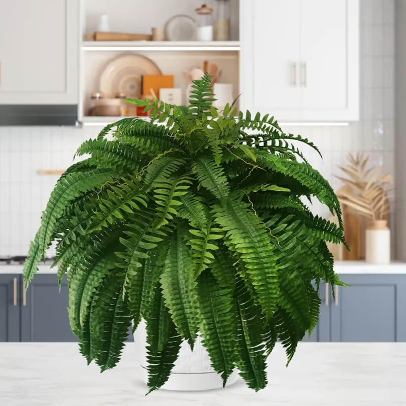 🌱🔥Last Day 75% OFF--🌿UV Resistant Lifelike Artificial Boston Fern