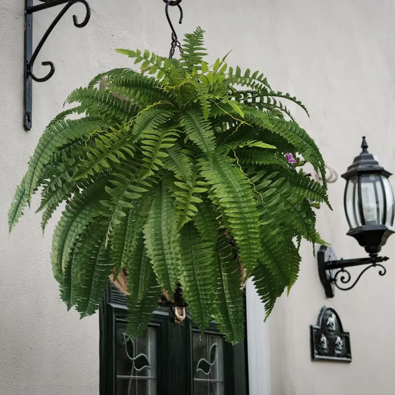 🌱🔥Last Day 75% OFF--🌿UV Resistant Lifelike Artificial Boston Fern
