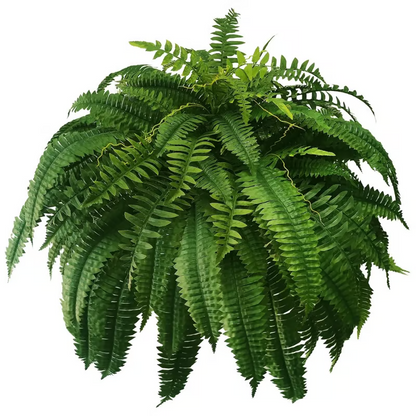 🌱🔥Last Day 75% OFF--🌿UV Resistant Lifelike Artificial Boston Fern