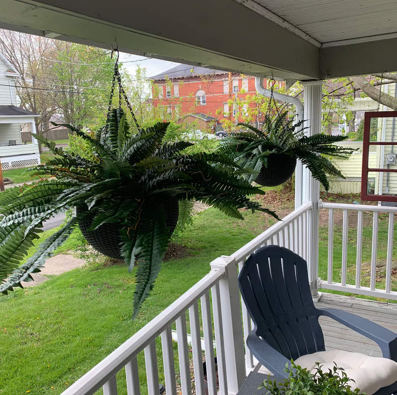 🌱🔥Last Day 75% OFF--🌿UV Resistant Lifelike Artificial Boston Fern